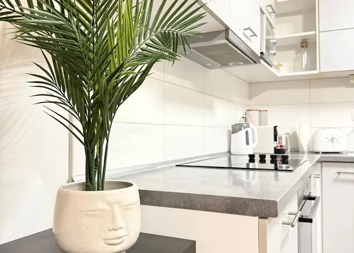 Apartment Gellert Spacious