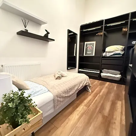 Apartamento Gellért Spacious *