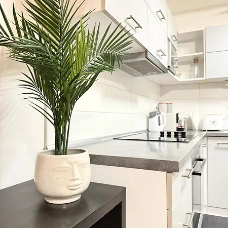 Apartamento Gellert Spacious